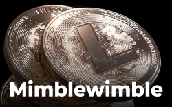Litecoin's MimbleWimble Upgrade Officially Activates, Price Remains Unchanged