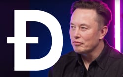 Elon Musk And DOGE Co-Founder Troll Crypto Scam Bots on Twitter