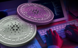 Cardano Native Assets Minted Reach 5 Million, ADA Spikes 12%