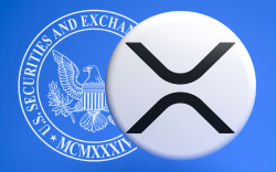 Ripple v. SEC: Major Court Decisions That May Make Direction of Lawsuit Imminent: Fox Reporter