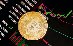 Bitcoin Reaches New All-Time High on This Metric: Details