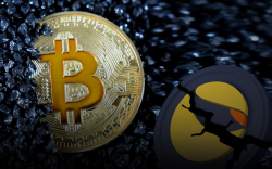 250,000 Bitcoins Bought by Long-Term Holders Since LUNA Crash on May 7: Details