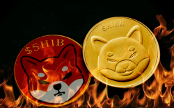 Shiba Inu Burn Rate Spikes 190% in 24 Hours: Report