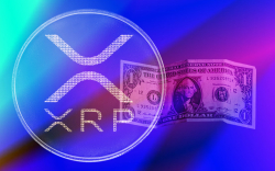 Here Are 3 Indicators Suggesting XRP Is Bouncing from $0.4
