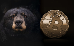 Bitcoin Signals This Familiar Trend Typical of Bear Markets: Details