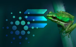 Cardano Founder Strikes Back at Solana Team for Advising Him to Kiss Frogs When Coding
