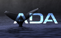 ADA Goes Up As Whales Start Accumulating on The Dip 