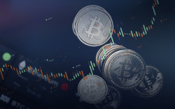Bitcoin Surpasses $31,400, Rising Thanks to Momentum