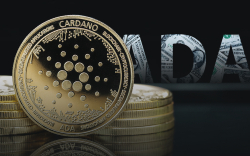 Cardano Treasury Exceeded 900 Million ADA Held, Here's What They Spend It On