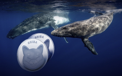 187 Billion SHIB Grabbed by "BlueWhale0159" Whale as Shiba Price Keeps Falling 