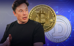 Elon Musk Comments Positively on “Dogecoin Web69” In Context of Dorsey’s BTC Web5 