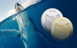 Shiba Inu Active Whale Addresses Jump 44% as SHIB Usage Increases