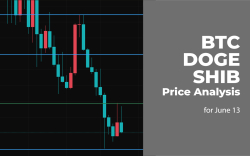BTC, DOGE, and SHIB Price Analysis for June 13