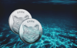 81% of Shiba Inu Investors Are Underwater, But Long-Term Holders Increase