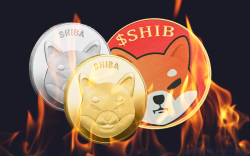 316 Million SHIB Burned in 2 Days, While SHIB Surpasses FTT on Top 10 Holdings List