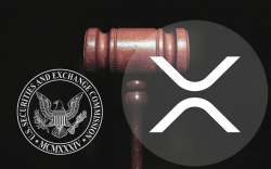 XRP Lawsuit: Ripple Claims SEC Is Attempting to Conceal Its Flaws from Public Criticism