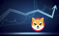 Shiba Inu Now Largest Held Asset After USDC for Ethereum Whales, Price Adds 4%