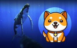 BabyDoge Becomes Top 10 Most Purchased Coin for BSC Whales