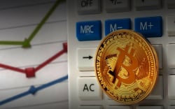 Hero of 2018 Crypto Bearmarket Returns and Provides Bitcoin Chart No One Expected