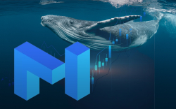 MATIC Soars 70% This Week as Whales Show Highest Accumulation Since November