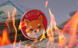 134 Million SHIB Burned, While Shiba Inu Holds as Largest Asset in USD
