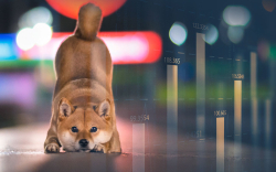 Shiba Inu Adds Another Zero as Altcoins Experience Market Losses
