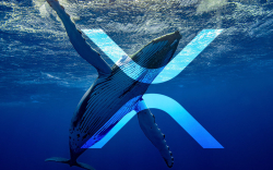 Record 574 Million XRP Moved, 270 Million Shifted by Anon Whale in Single Chunk