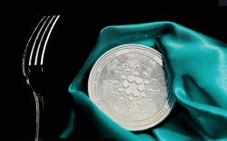 Cardano Developers Postpone Vasil Hard Fork 