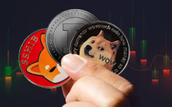 Shiba Inu and Dogecoin up 30% in Network Activity, With Number of Unique Addresses Constantly Rising
