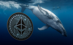 Ethereum's 39% Price Decrease Is Accompanied by Large-Scale Whales' Purchases