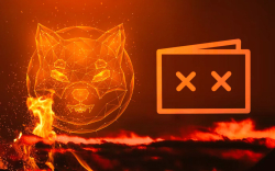 Shiba Inu Burn Rate Surges 155% with Over 208 Million SHIB Sent to Dead Wallet