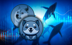 Meme Coins BabyDoge, Dogecoin Chosen by BSC Whales as Top Smart Contracts