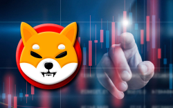 Shiba Inu Average Balance Held by Large Holders Spikes 18% as New Milestones Are Set