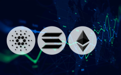 Ethereum, Solana, Avalanche Post Significant Gains as Crypto Market Rebounds