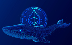 Massive Amount of Ethereum Whales Returned to Market After 15% Price Spike