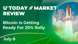 Bitcoin Is Getting Ready for 20% Rally: Crypto Market Review, July 8