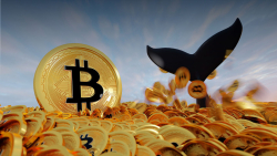Anonymous BTC Whale Transfers 46,000 BTC, But No One Knows Why