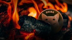 Shiba Inu (SHIB) Burn Rate Continues 200% Rally Following Crypto Card Release