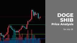 DOGE and SHIB Price Analysis for July 28