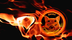 225 Million SHIB Burned As Burn Rate Soars 414% Overnight