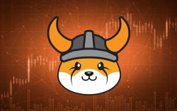 Will Robinhood List Floki Inu? New Change.org Petition Aims to Make This Happen