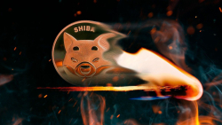 Shiba Inu Burn Rate Raises Concerns, With Only 1.13 Billion SHIB Burned in Last 7 Days