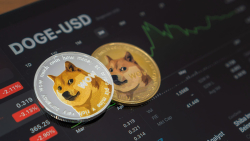 This DOGE Index Shows Possible Buying Opportunity