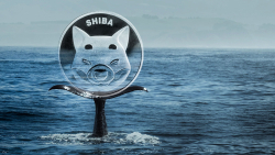 52.4 Billion SHIB Grabbed by This Whale in Single Chunk