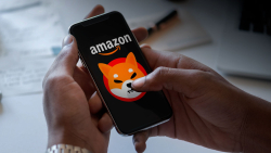 Amazon Has "Had Serious Impact" on Burning SHIB on This Platform in August: Details