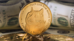 DOGE Co-Founder Refuses to Promote Dogechain for $14 Million in Crypto