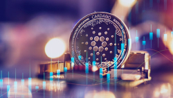 Here's Who Is Buying Cardano, Dogecoin Drawdown as Market Declines Continue