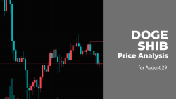 DOGE and SHIB Price Analysis for August 28