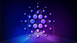 Here's How Many Exchanges Are Ready for Cardano's Vasil Hard Fork 