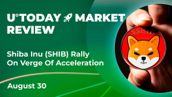 Shiba Inu (SHIB) Rally on Verge of Acceleration: Crypto Market Review, August 30